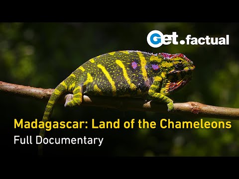 Madagascar: Land Of The Chameleons - Full Nature Documentary