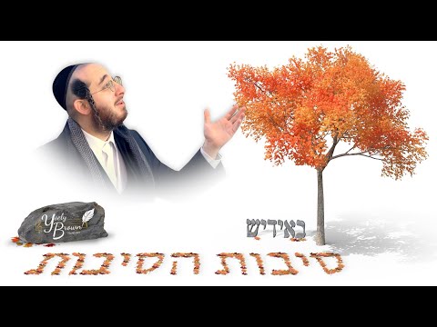 וִידֵאוֹ: מה הטעם בחשיבות הרצינות?