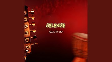 Selense