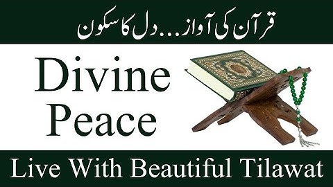Divine Peace | Live Quran Recitation to Calm the Heart and Soul