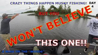 MUSKY FISHING LAKE OF THE WOODS DAY 4| CRAZIEST THING I EVER SAW MUSKY FISHING!!