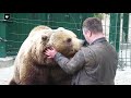 Медвежья любовь 😍/Bear Mansur