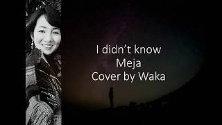 Watch Meja I Didnt Know video