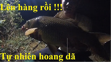 Câu cá chép khủng với bài mồi độc - Hành trình 5 ngày săn hàng 3-2021