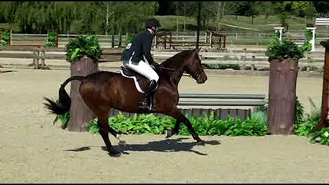 Belvedere & Dustin Foxwood Derby Canadian Premier ...