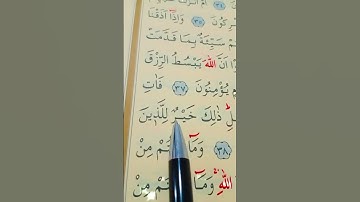 سورة الروم الأية 37 إلى 39 القارئ سعد الغامدي