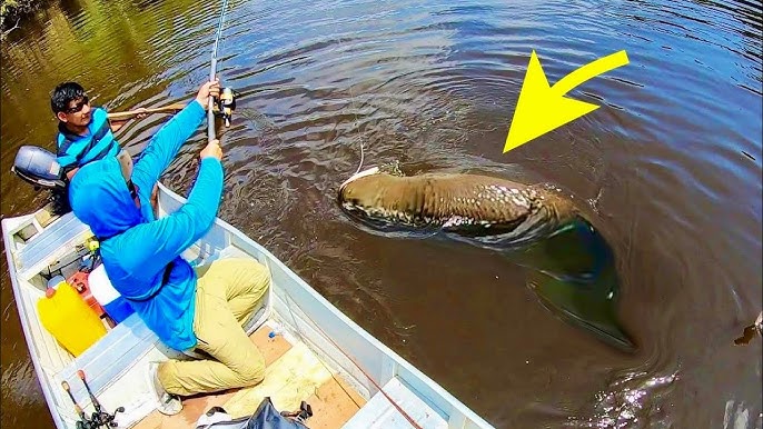 Catching the  Monster Fish 