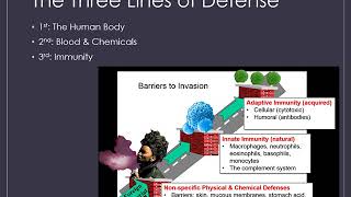 CH21 Micro Lecture