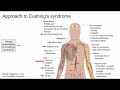 Approach to Cushing&#39;s syndrome