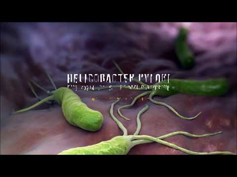 Video: Koje bakterije se nalaze u septičkim jamama?