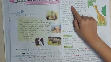 Tiếng Việt-L2-CÁNH DIỀU | Bài 26: Muôn loài chung sống | BÀI ĐỌC 1: Hươu cao cổ | AnnA