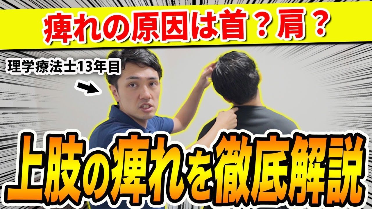 上肢の痺れを徹底解説！自信を持って患者さんを診れます！