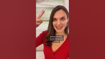 One powerful tool to stop people pleasing now with Dr. Kate Truitt