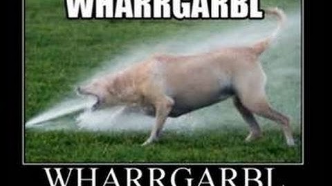 Mineplex Capture the Flag