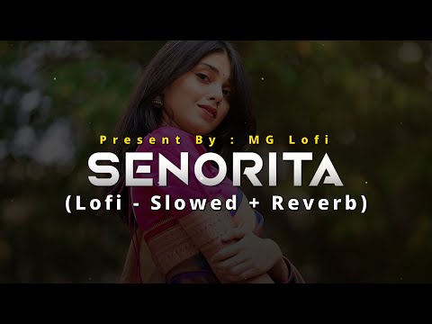 Senorita | Lofi - Slowed + Reverb | Zindagi Na Milegi Dobara | Hrithik Roshan | MG Lofi
