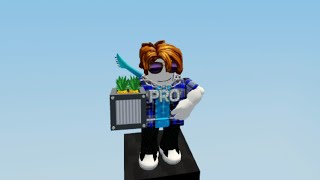 My version of Arress LPC farm(layout)[ROBLOX islands]
