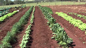 ¿Qué diferencia hay entre una quinta y una huerta?