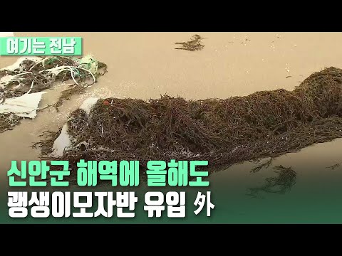 [여기는 전남] 신안군 해역에 올해도 괭생이모자반 유입 外 / KBS 220105