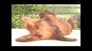 Noviy Russkiy Iz Strani Grez   25 07 2016
