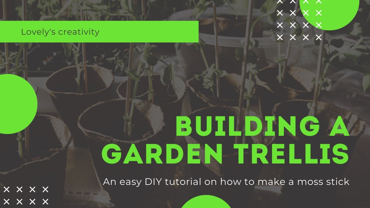 make moss/coir stick at home/ Zero cost moss stick at home/moss stick