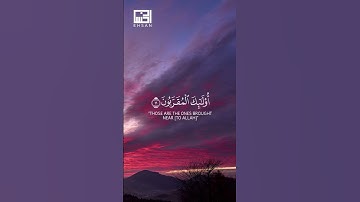 تلاوة من سورة الواقعة🍃┇للقارئ بلال دربالي