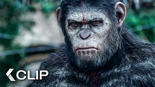 Apes Don't Want War! Movie Clip - Dawn of the Planet of the Apes (2014)