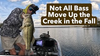 Bass Fishing 202-Lesson 86: Not All Bass Migrate Up the Creek