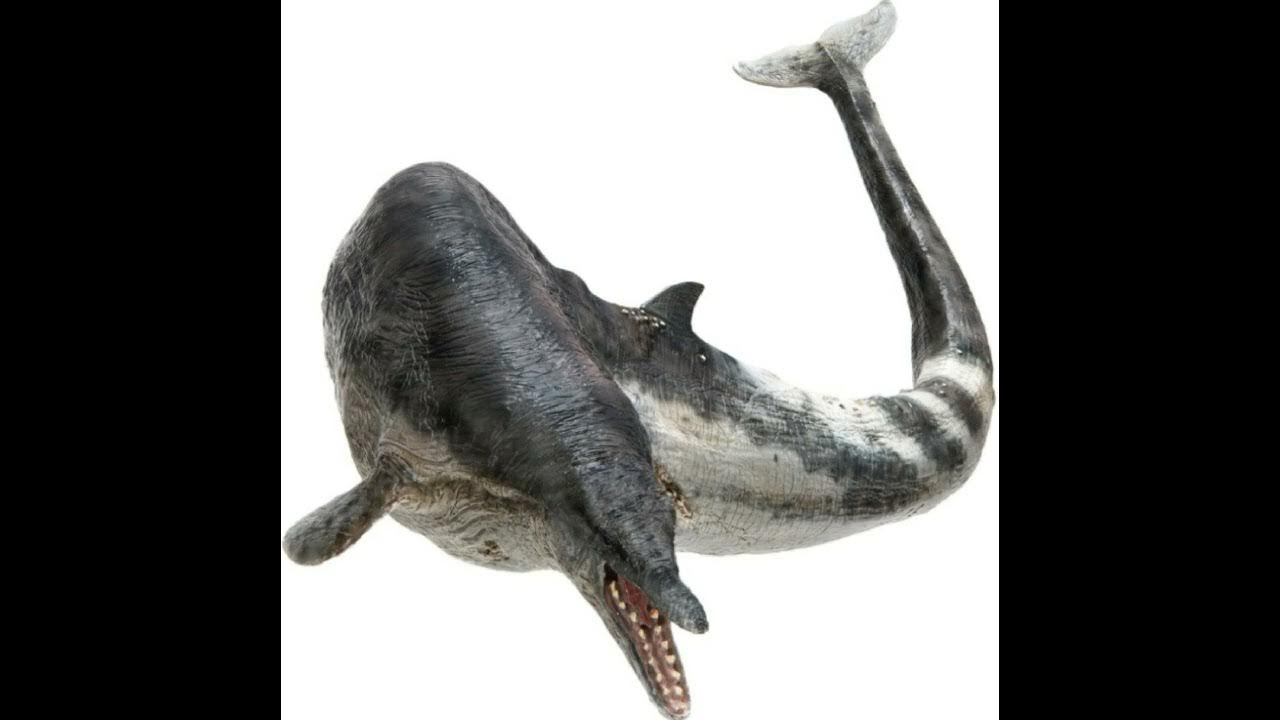 basilosaurus cetoides (whale) sounds YouTube