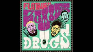 Flatbush ZOMBiES - Devil & Us