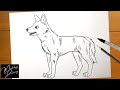 How to draw a dingo easy step by step