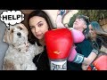 VANESSA MERRELL STOLE MY DOG!! (REVENGE)