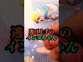 逃げ上手のインコちゃん