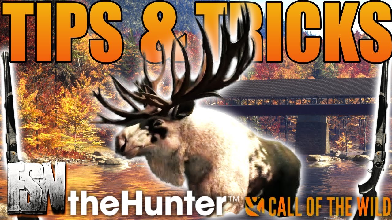 Hunter Call Of The Wild Tips And Tricks Top 10 TIPS & TRICKS for theHunter: Call of the Wild in 2023 - YouTube