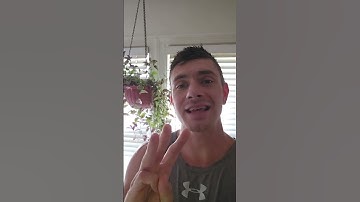 Trainerize Box-N-Fit video (In-gym explanation)