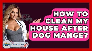 How To Clean My House After Dog Mange? - Ask A Pet Vet