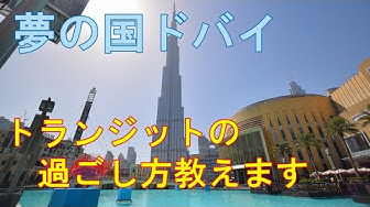トランジット Youtube