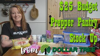 $25 Budget Prepper Pantry Stock Up from Dollar Tree by Homestead Corner 8,072 views 1 month ago 15 minutes