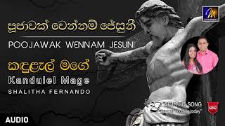 Kandulel Mage Shalitha Fernando