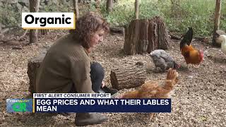 Consumer Report: Egg prices and what their labels mean