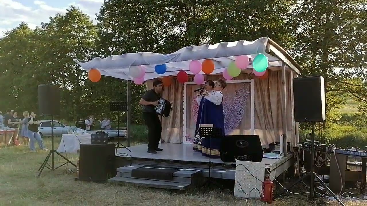 Илькино, день села с гармонью