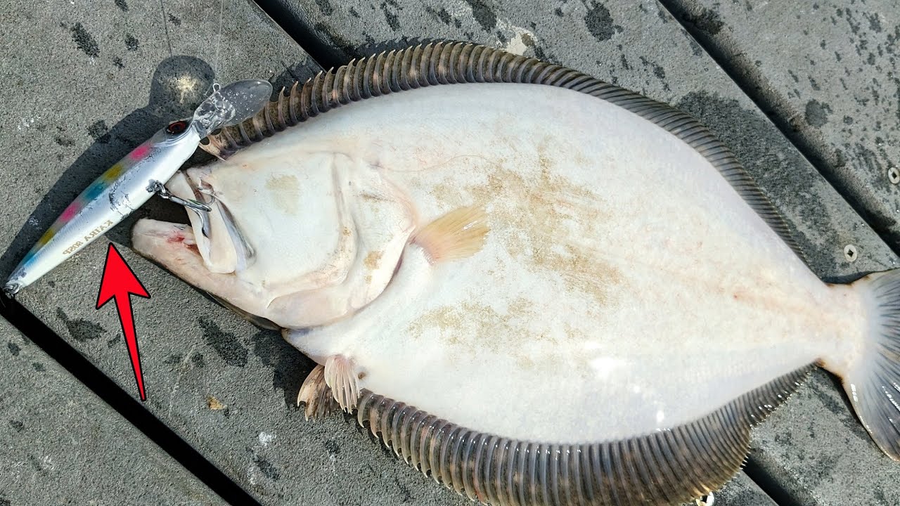 Crazy Dock Flounder Bite - Fluke Fishing with Jerkbaits 