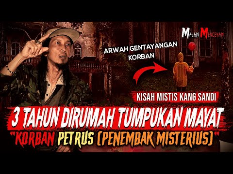 Video: Setelah 4 Tahun Di Tempat Penampungan, Saatnya Kita Menemukan Rumah Untuk Waldo