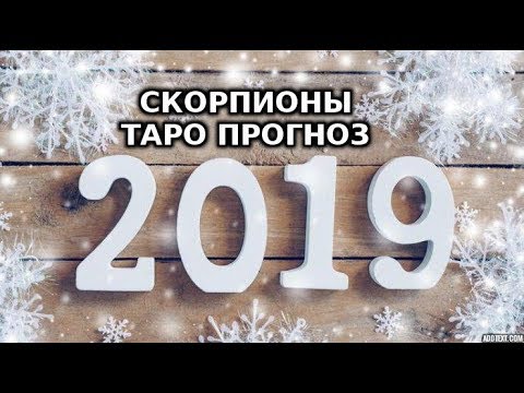 ЖЕНСКИЕ ТУФЛИ ВЕСНА-2019 НА НИЗКОМ КАБЛУКЕ: МНОГООБРАЗИЕ ВИДОВ