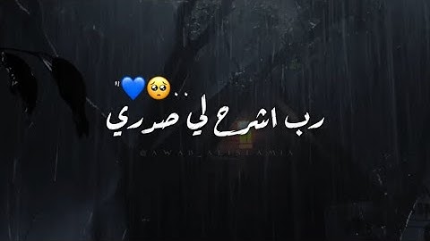 قال رب اشرح لي صدري || تلاوة مريحة للاعصاب | أجمل حالات واتس اب قران 💙😴