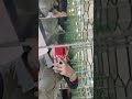Mirror Magic🪞 🪄 ✨#mirrormystery#mirrorwork#mirrors#mirrorprank#mirrordecor#magic#magical#trending