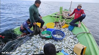 rezeki nelayan pukat jerut Kuala Marang Terengganu
