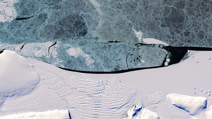 Sea ice can control Antarctic ice sheet stability