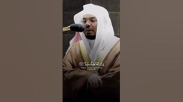 أَلَمْ تَرَ أَنَّ ٱللَّهَ أَنزَلَ مِنَ ٱلسَّمَآءِ مَآءً - القارئ ياسر الدوسري