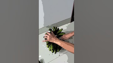 Làm sao để cắt 🍌từng nải chuối #fruit #banana #farming #watermelon #shorts