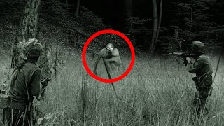 Craziest Monsters Spotted During Wartime!